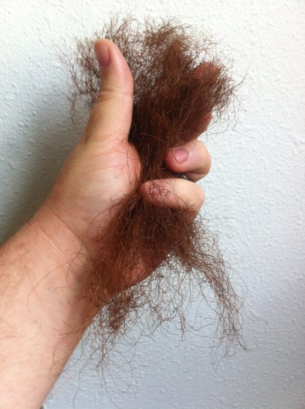 QFL247's tweet image. Until we meet again... #summerdew #lessbeard