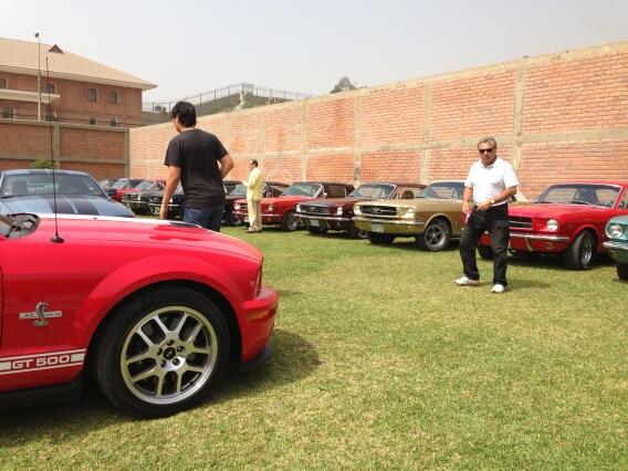 Mustang Club Perú tweet media