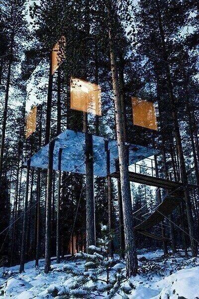 Tree house made of mirrors in Sweeden.