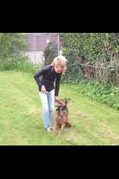 YYente's tweet image. So sweettttt #codii