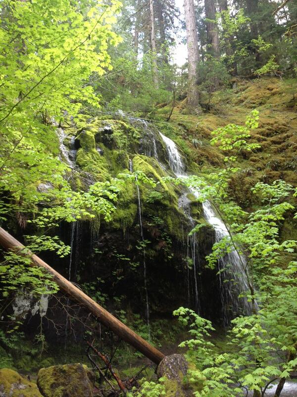 Big_B27's tweet image. #mthood #nationalForrest