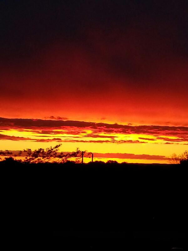 StrudwickDoug's tweet image. The view from my balcony tonight.