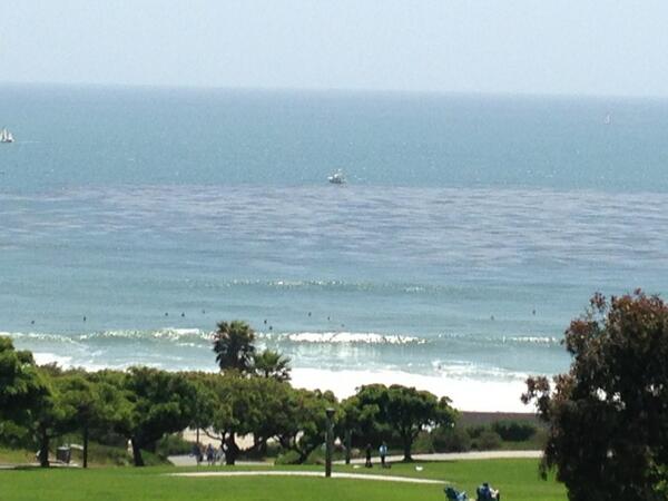 My view yesterday :)