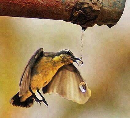 asdf4255's tweet photo. سبحان من يقدر الرزق ويهدي إليه     توكل عل�� الله http://t.co/juAeVAuQgk