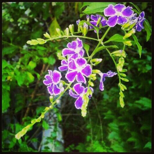 AlbeRevetria's tweet photo. @AlbeRevetria http://t.co/D0YpQwSryp