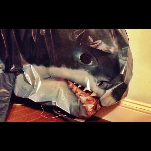 zacktaylorfilms's tweet photo. The #inflatableshark is not doing so hot anymore. #retirement http://t.co/pBlRowuIza