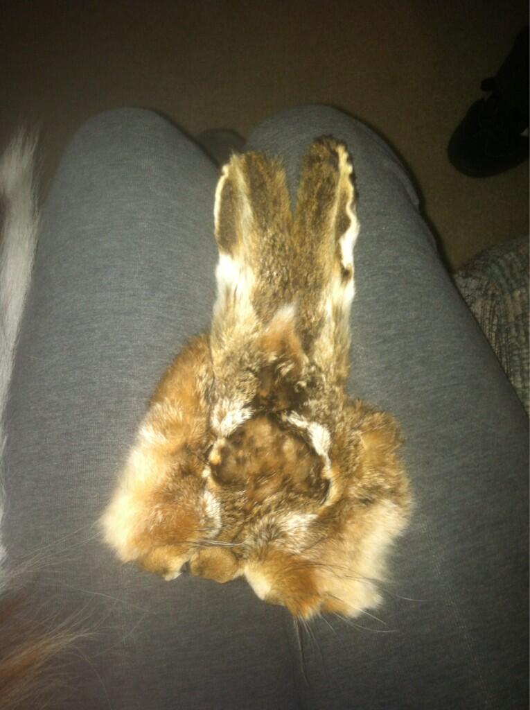 samantha on Twitter: 