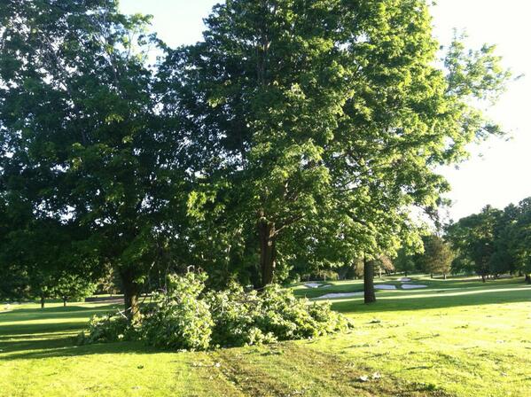 Pine Hollow Greens tweet media