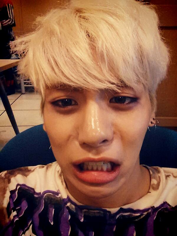 김종현 tweet media