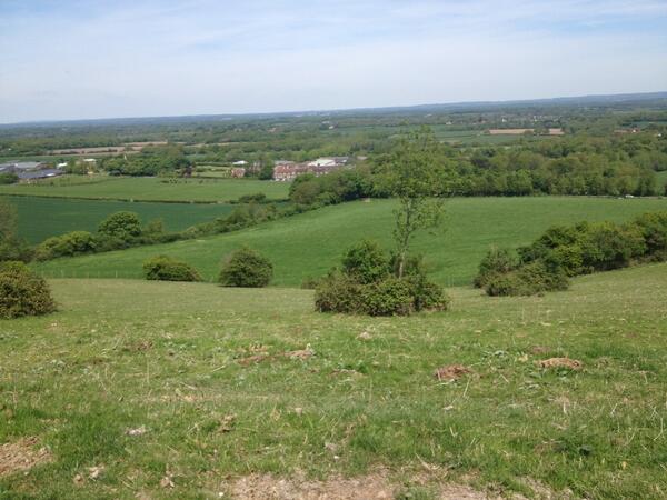 CotsFitL2B's tweet image. Holy cow!