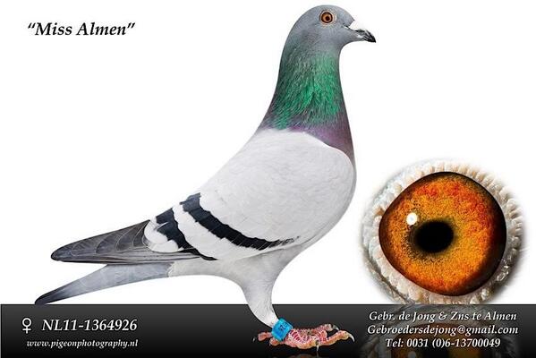 DeGebr's tweet image. 