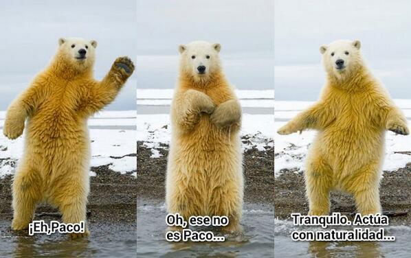 DeboConfesarQue's tweet photo. El arte de saber disimular cuando has saludado a alguien por error... http://t.co/u7fZsnEFPe
