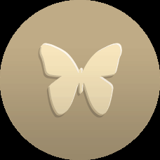 sdkunkle06's tweet image. I&apos;m working towards completing the Social Butterfly bonus using @IbottaApp.