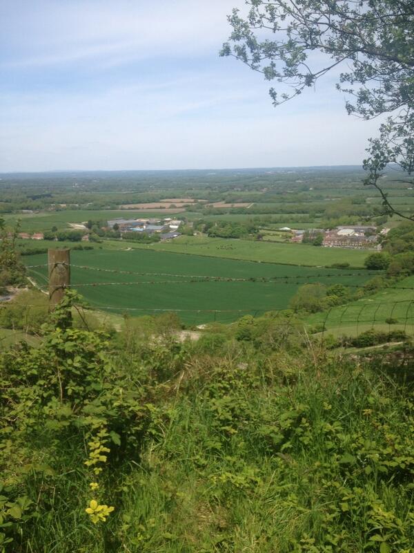 CotsFitL2B's tweet image. Dig deep 11k to go