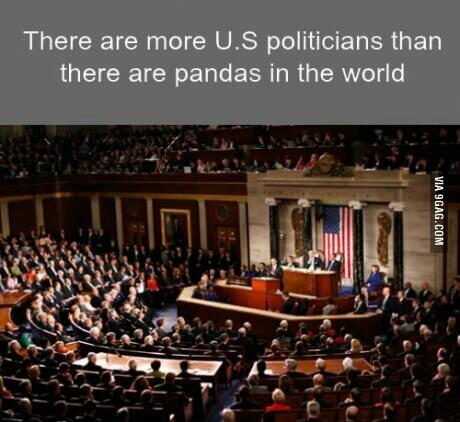 PhoebeeEliza's tweet image. This is disturbing... #SavePandas