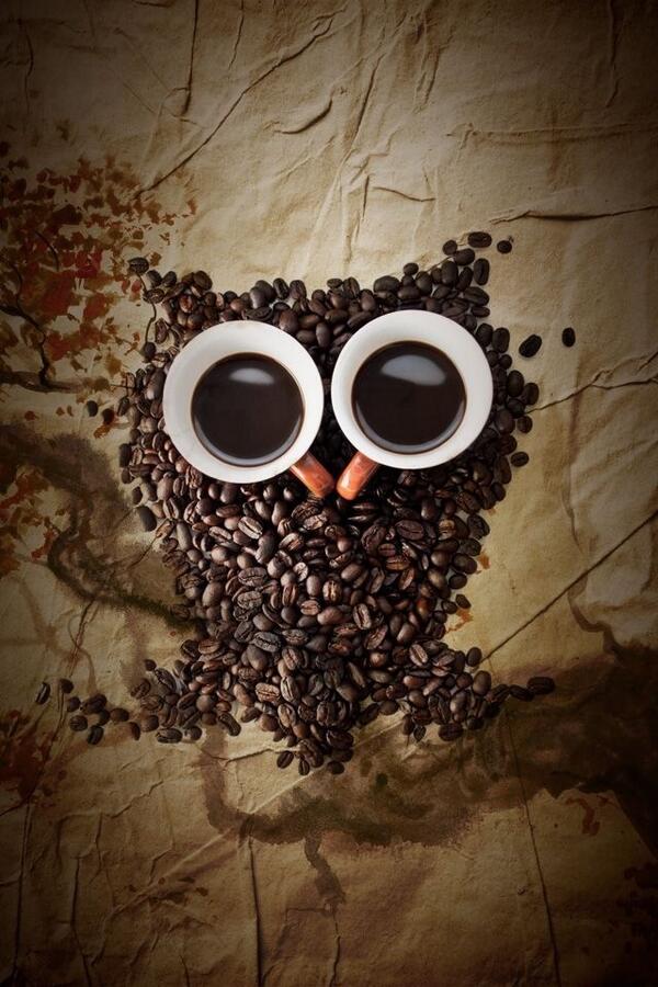 bbq_jayde's tweet photo. Cool Coffe Bean Owl wallpaper! #pimpmyscreenapp LOVE IT! http://t.co/VpQvP047Ki