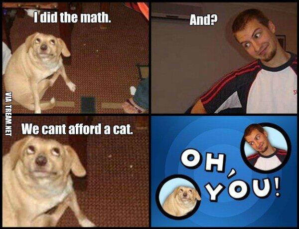 TreamNet's tweet photo. Oh you dog did the math! #memes #meme #ohyou #fun #funny #pic http://t.co/b164640BXm