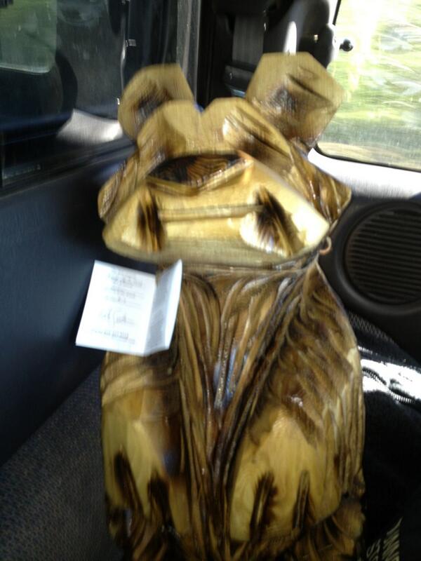 sunshinekjs's tweet image. #newdeckfriend #adorable  #stowaway #toby #spoiled