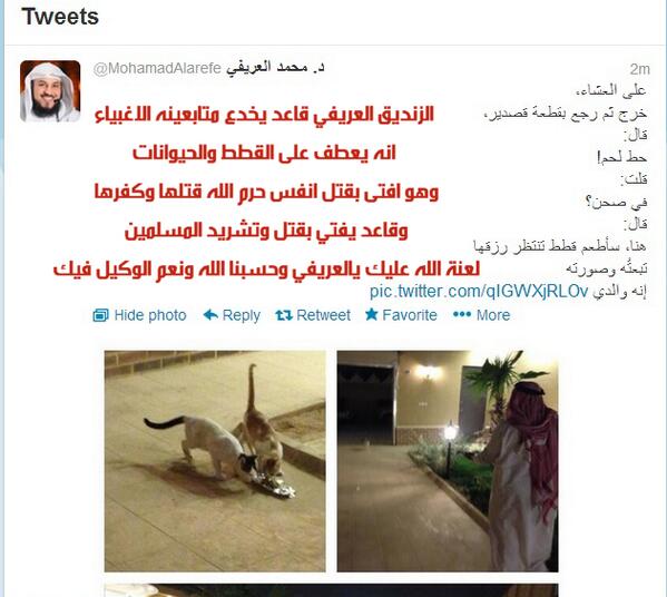 lion1771's tweet photo. الزنديق العريفي يرايي امام متابعيه انه يعطف على القطط قبل القطط يا زنديق من هجر وشرد المسلمين في #ليبيا وفي #سوريا http://t.co/qgqetm9hiP