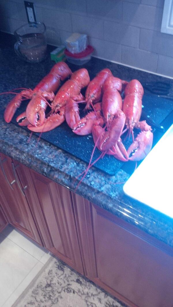 mikerinaldi86's tweet photo. My lobster friends! @DannyRinaldi001 http://t.co/XI330xL7wl