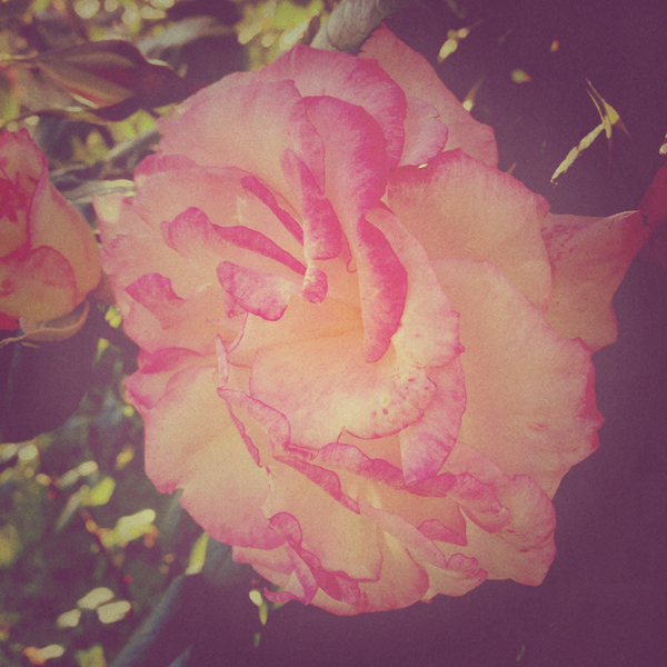 camera_fx's tweet photo. Just posted a photo (via @camera_fx) http://t.co/Tk9K3x272R