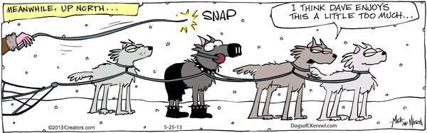 atomicjesh's tweet image. creators.com/comics/dogs-of…