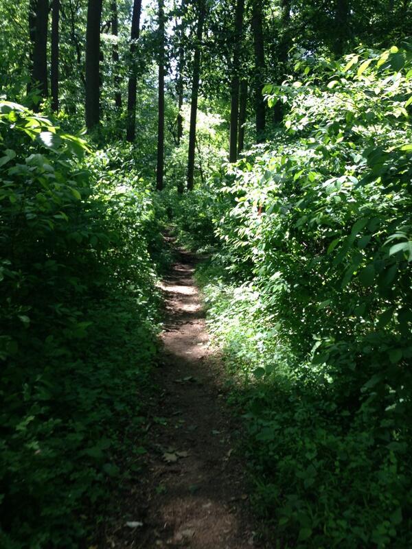 Mikeee573's tweet photo. 50 Kilometer #trail run. Excruciating, but worth it. Never felt more alive. http://t.co/9HqQFAJQoX