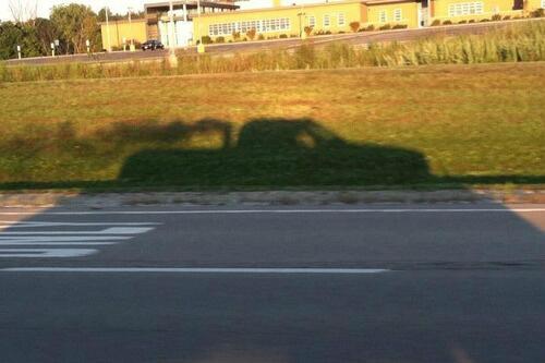 TruckPrincesss's tweet photo. #RollCoal http://t.co/fnEuQWr19e