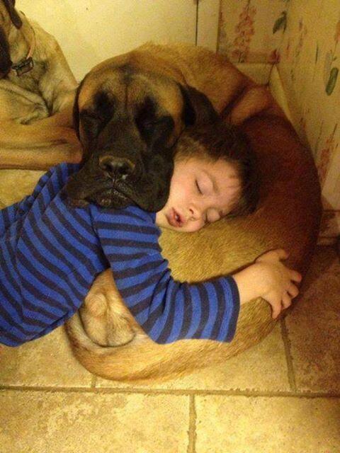 _Paisajes_'s tweet photo. Almohada mutua http://t.co/jQUx6O4wFr