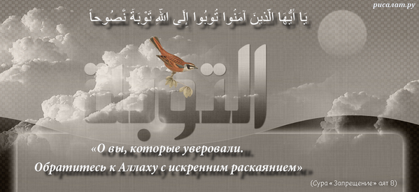 risalatru's tweet photo. Священный Коран открывает перед грешниками двери божественной милости и зовет их войти в них. http://t.co/DzUpaEsqDI