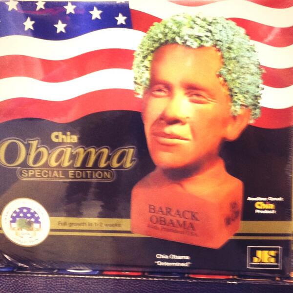 jeffdarling89's tweet photo. Gotta save up for the new Chia Obama. #obama #chia #whattheworld http://t.co/wnBaPWvLod