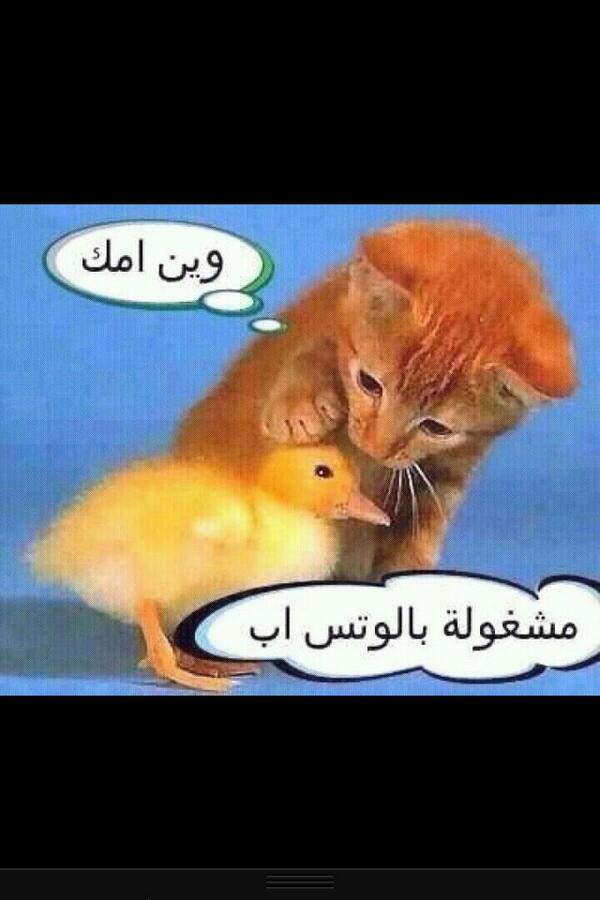 funey73 tweet picture