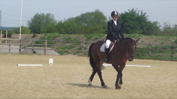 FindAPony's tweet image. Another fantastic day at dressage yesterday with Yevette+Harry achieving 64% and 5th place in their 1st ever show!!