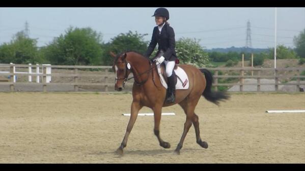 FindAPony's tweet image. A great result with Maisie who got 60% and 9th place with really pleasing comments highlighting her huge potential!