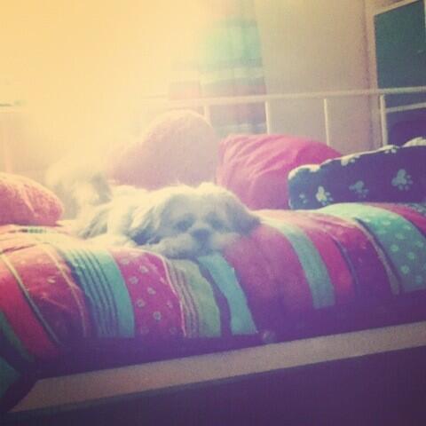 Jordan O'Keefe tweet media