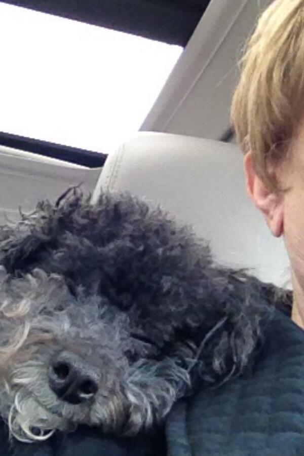 Heyhalperin's tweet photo. Road trip buddies http://t.co/X5BzuMh2lL