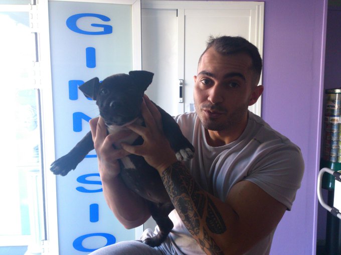 Un mes y 5 kg jojojo, que bestia va a ser este cachorrito http://t.co/f7tAYWFRWX<a href="/tag/backstage"class="tags"><span>#backstage</span></a>