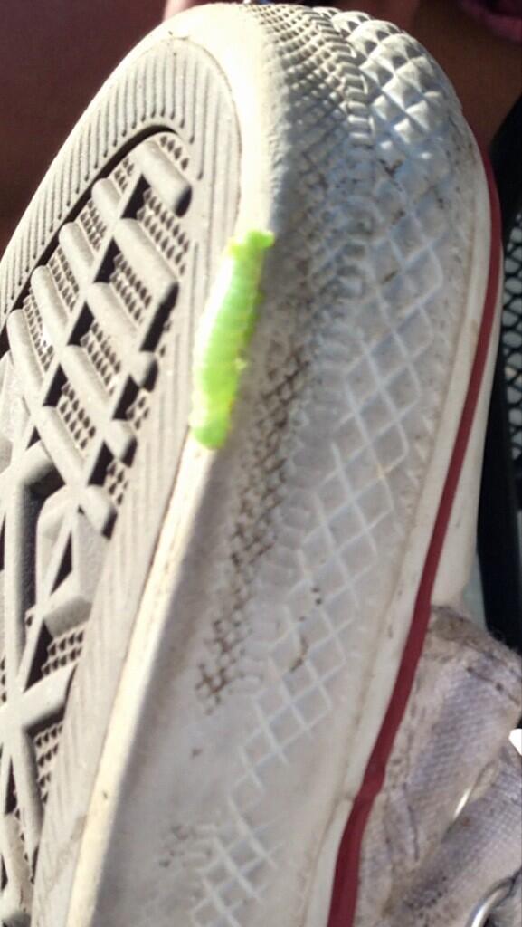 Jenxoox's tweet photo. We found a real life human centipede-caterpillar. His name is Craig. @cjackson1988 @CaitlinHorbury @CharlottePerry7 http://t.co/Ot08IYxNua