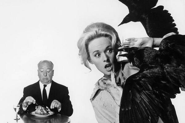 pajaritos por aquí, pajaritos por allá...