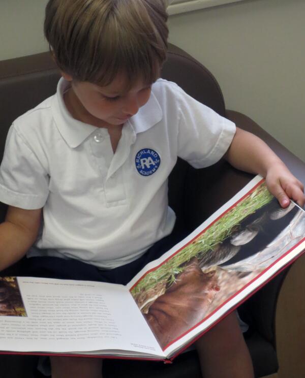 richlandacad's tweet image. PHOTO DAY 64: The story ‘Owen &amp;amp; Mzee: A Day Together’ has touched the hearts of our Prek friends. #PreKClass