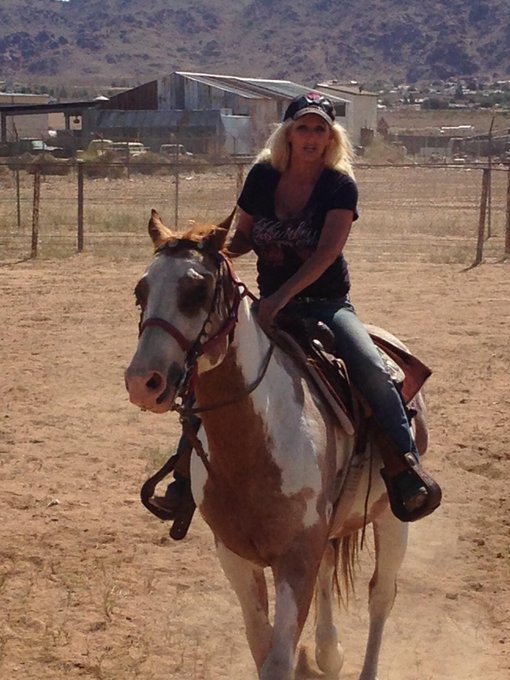 me with my horse ringo had fun riding today with elisbeth http://t.co/GP9nnQpdBE