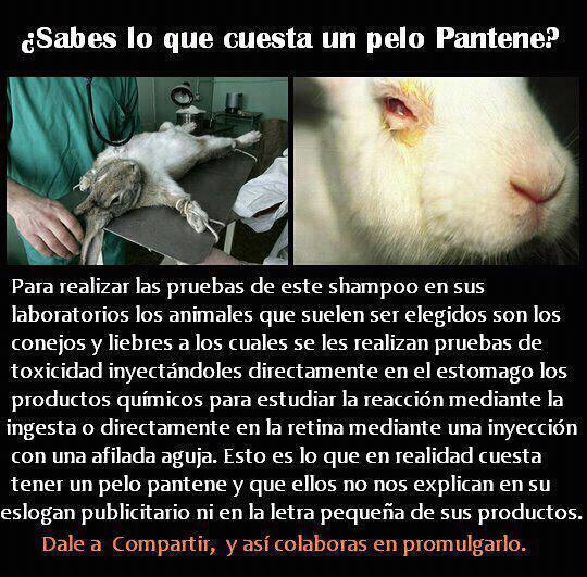 ¿Sabes lo que cuesta un "Pelo Pantene"?
