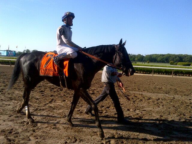 Twitter / NYRAnews: Sahara Sky and Joel Rosario ...