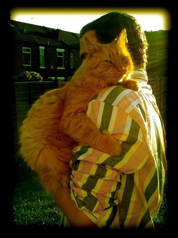 Idiot (@flemingsean76) on Twitter photo 