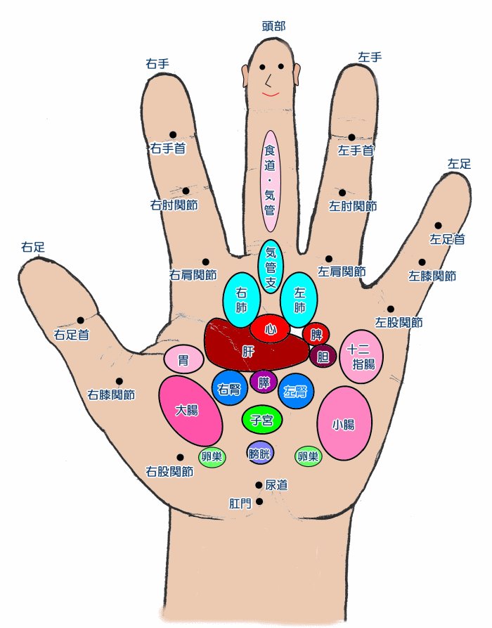 ぶりぶり左右衛門 指をそらすだけ で細くなる部分痩せダイエット Http T Co Ka00k2xkxf 1 親指 顔痩せ 2 人差し指 二の腕痩せ 3 中指 お腹痩せ 4 薬指 ウエスト痩せ 5 小指 脚全体 ちゃんと勉強しなさい Http T Co Xep7myjeiu