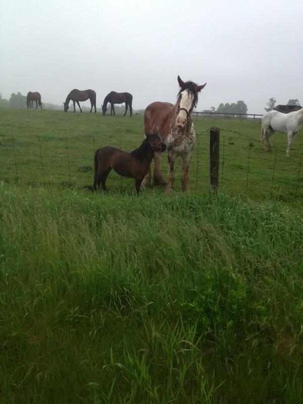 charnnn's tweet photo. just a txt from my mom http://t.co/NvLqvMiBJT