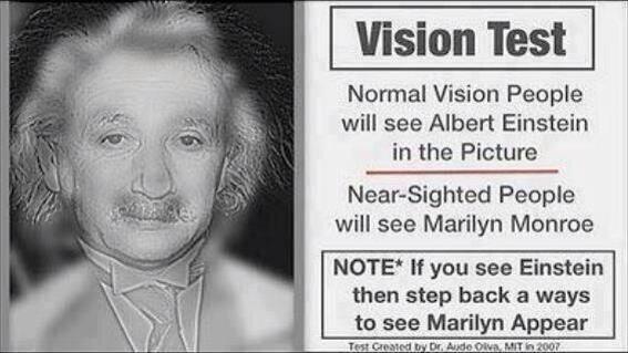 Optical Illusions tweet media