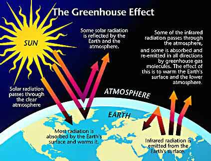 HugA_Tree's tweet photo. #looknow #globalwarming #whatshappening http://t.co/R7pzgxo0Io