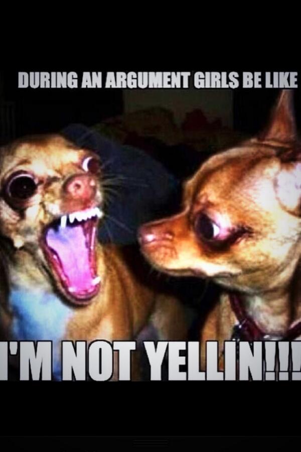 Lil_Bri12's tweet image. @kharbourgirl #yoass #😂😂