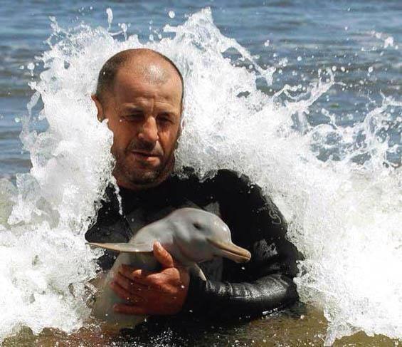 NaturPictures's tweet image. Cría de delfín con 7 días de edad.